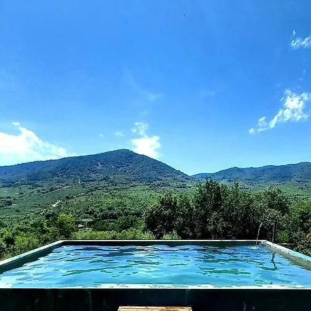 Mas Olivella Grande Apartment
